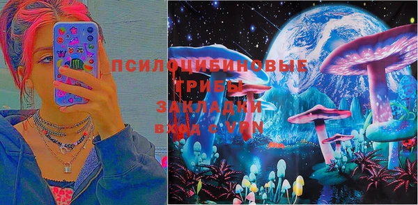 ПСИЛОЦИБИНОВЫЕ ГРИБЫ Баксан