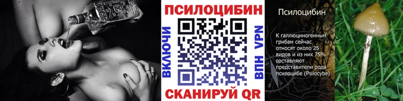 Псилоцибиновые грибы GOLDEN TEACHER  Горнозаводск 